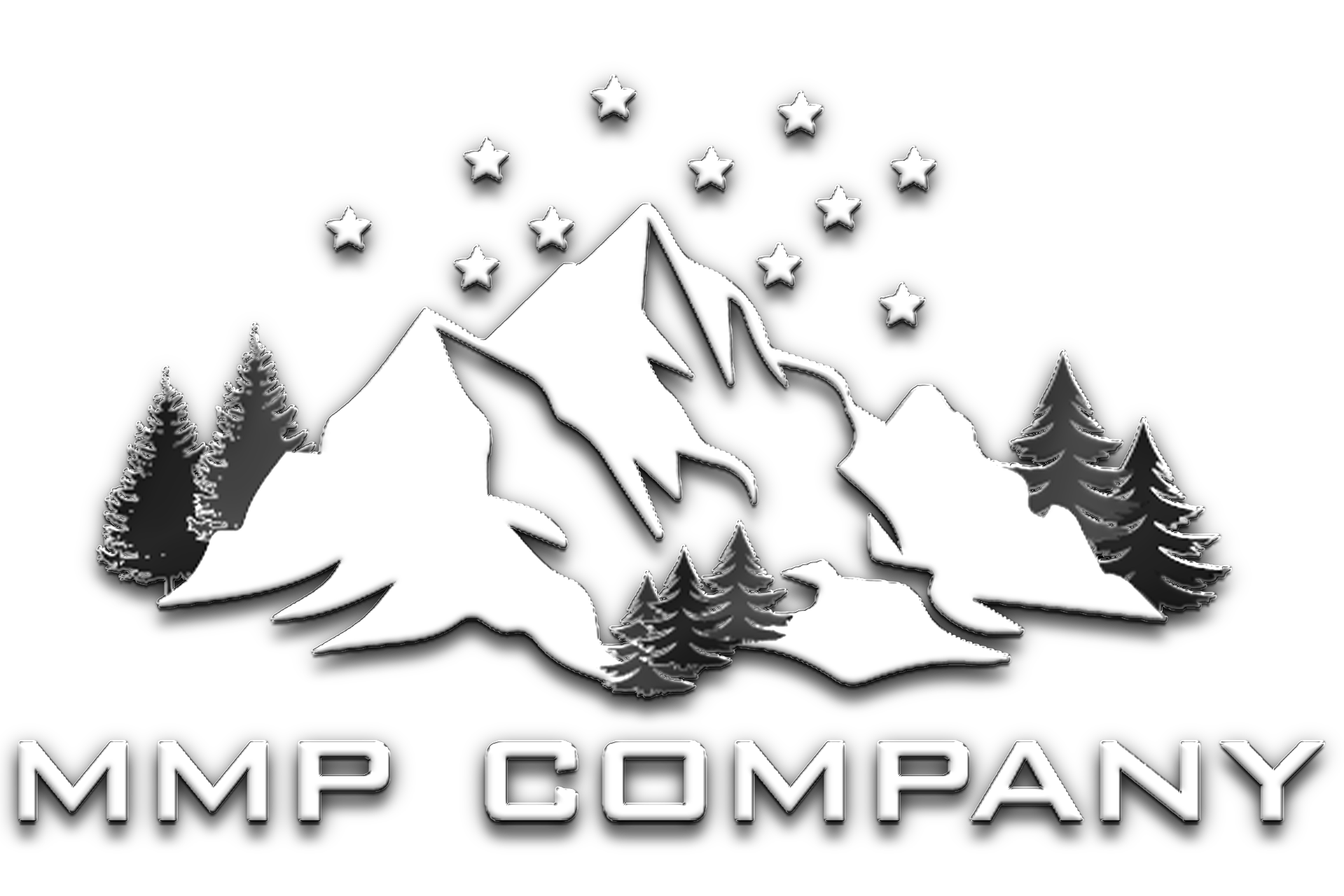 PILICIC COMPANY